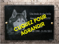 Photo d'un chien grav&eacute;e sur une plaque comm&eacute;morative