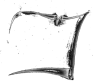 parchemin-2