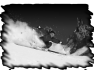 ski-3